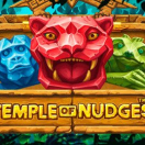 Temple Of Nudges